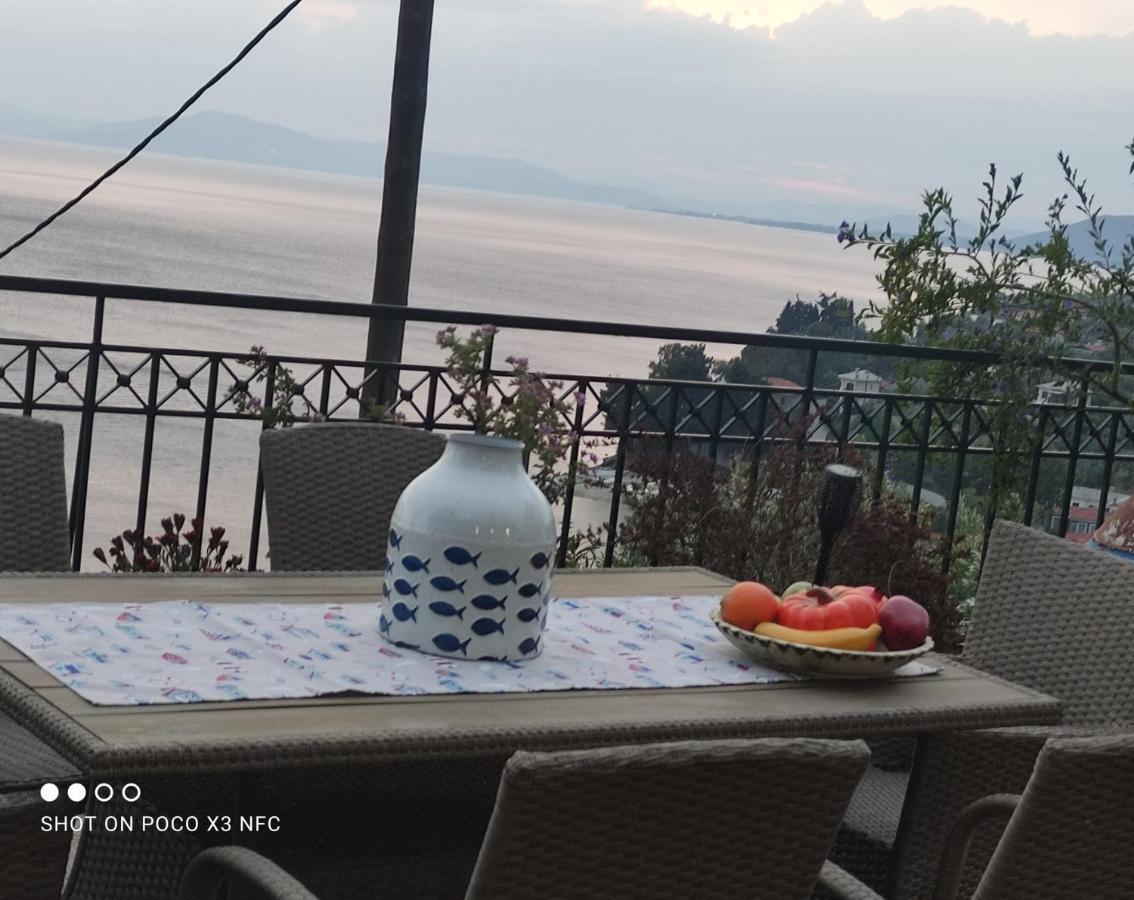 הוילה אפיסוס Mesonisi Με Υπέροχη Θέα Στον Παγασητικό!! מראה חיצוני תמונה